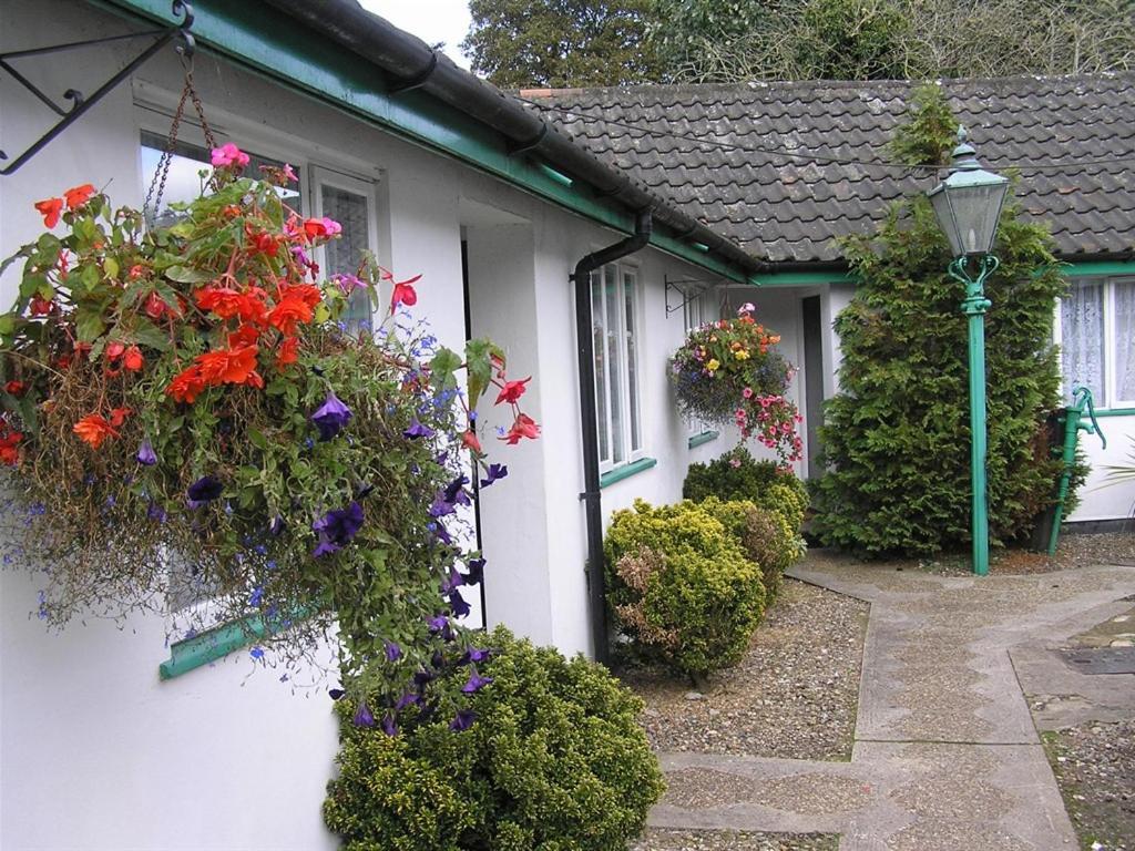 The Willow House Watton Bagian luar foto